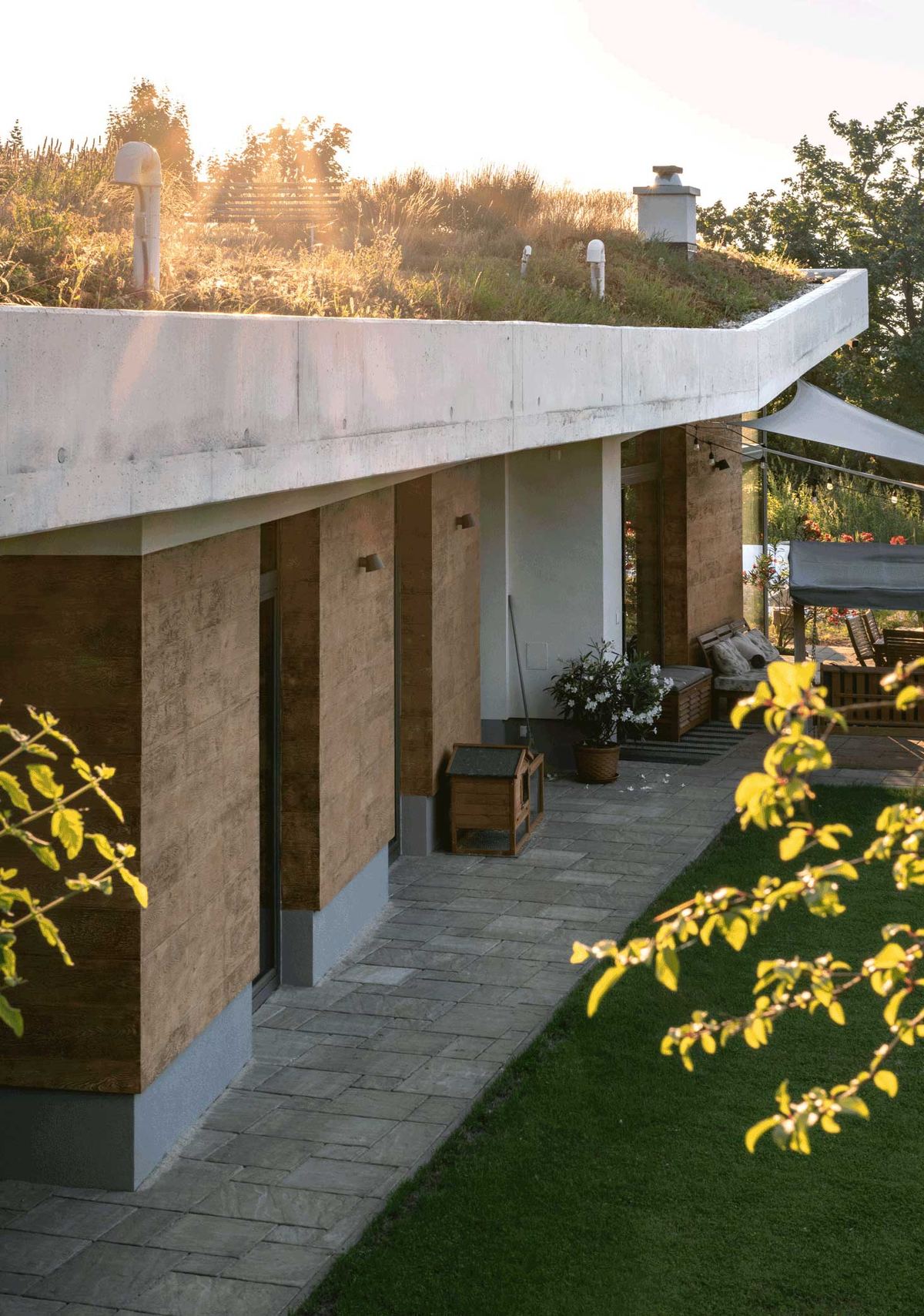 Casa interrata al tramonto, tetto verde con erba e fiori di prato, facciata in legno con terrazza.
