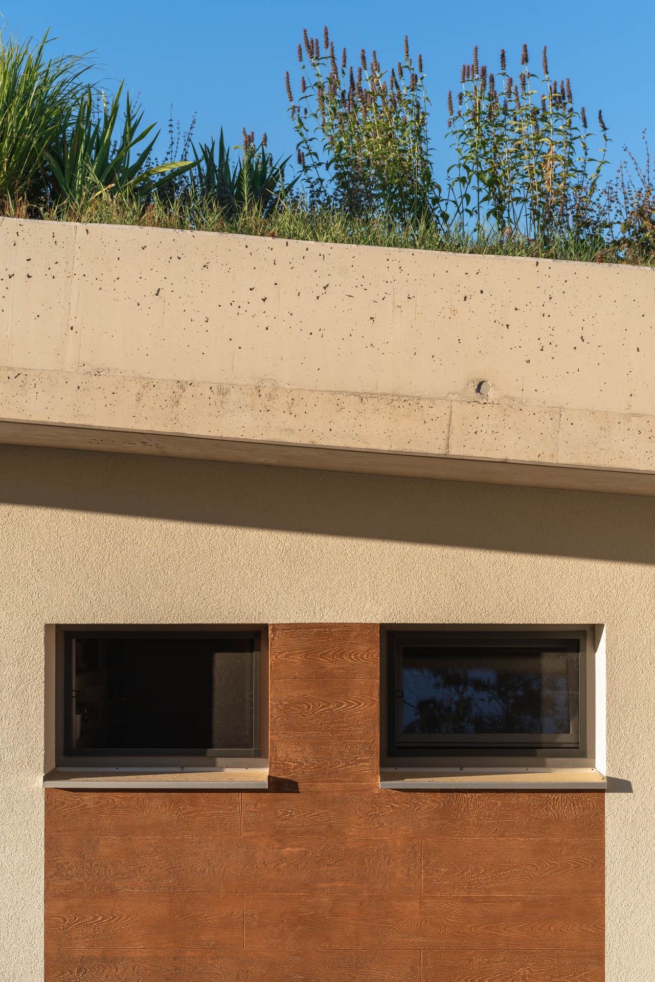 Detail of an earth-sheltered house in Nove Mesto nad Vahom: grasses on the roof edge above two dark windows in a rust-toned wood-textured wall.
