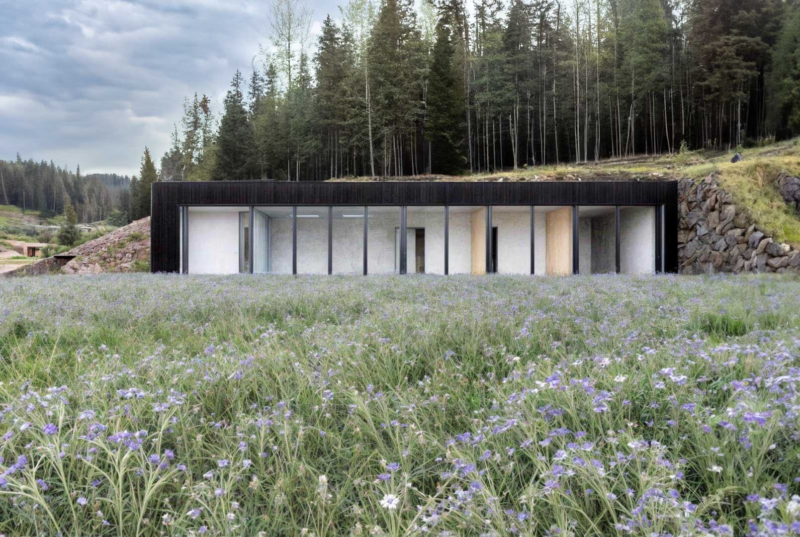 Earth-sheltered house in Banská Štiavnica with glazed front and grassy roof, seen across a wildflower meadow