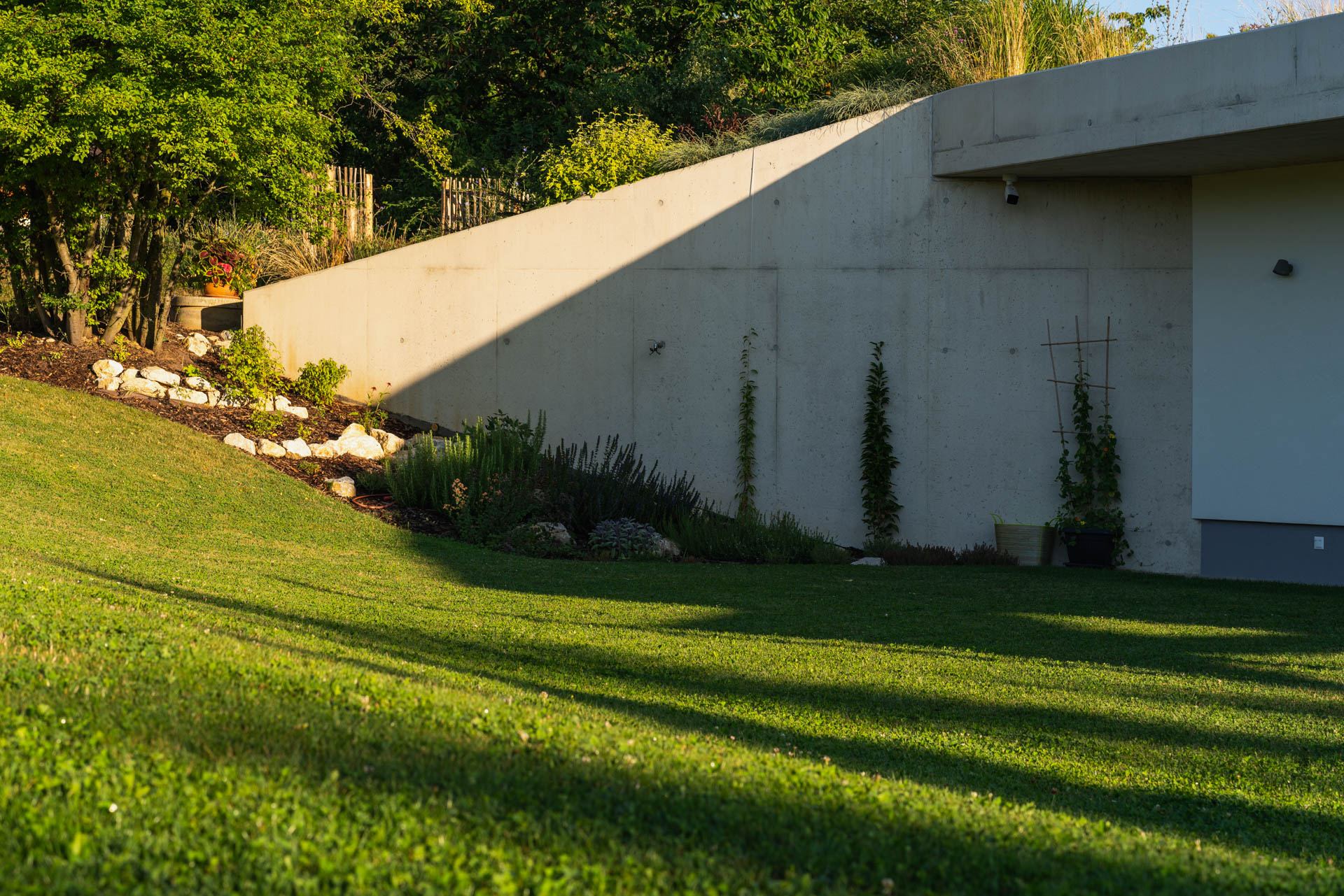 Angled concrete wall of an earth-sheltered house in Nove Mesto nad Vahom rises from a sloped, planted garden at dusk.