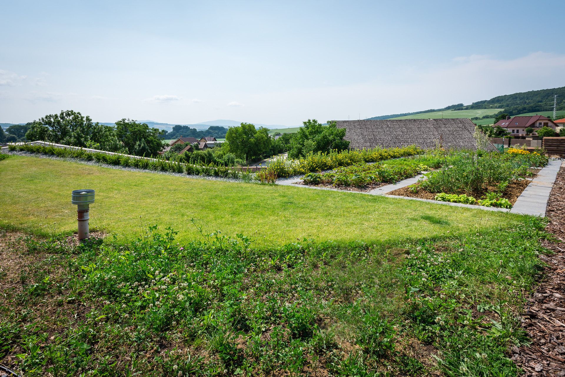 Grass-covered roof of the earth-sheltered Hoblina house in Košice, with a vent pipe, gravel strip and vegetable beds beyond.