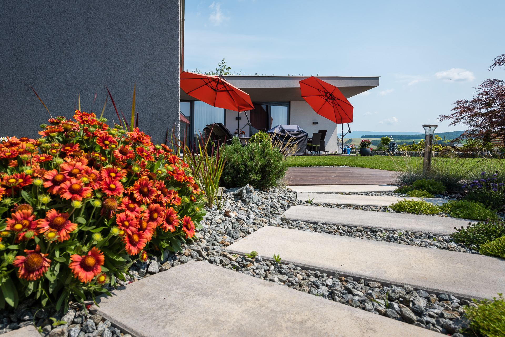 Concrete paver path through gravel and flowers leads to earth-sheltered house Hoblina in Kosice, grass-edged roof and red umbrellas on the deck.