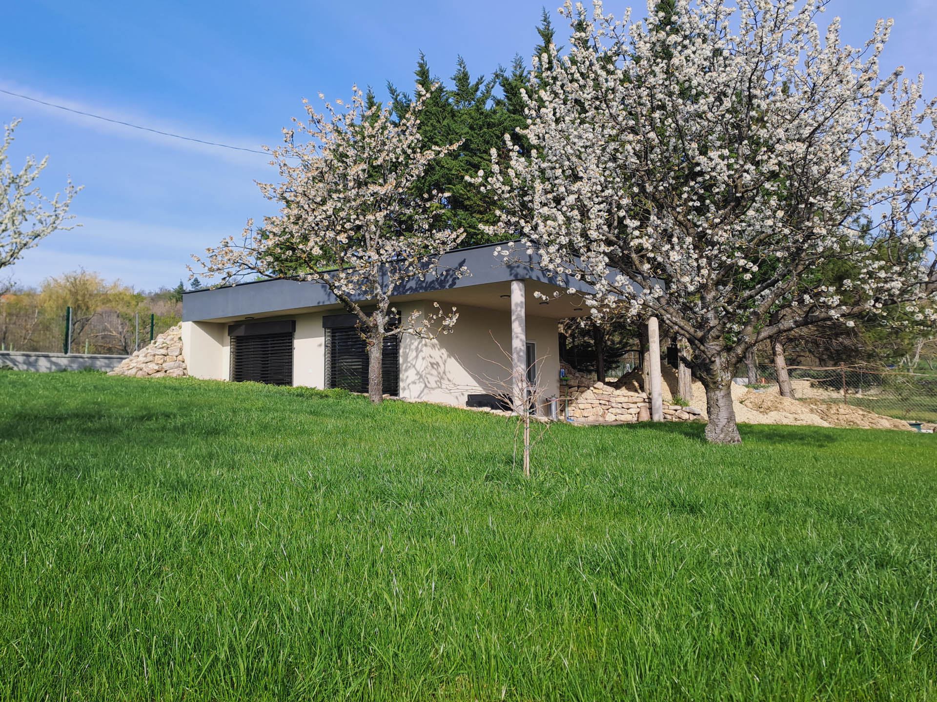 Flat-roofed earth-sheltered house on a grassy slope near Lake Balaton, shaded by a blossoming tree, shutters closed